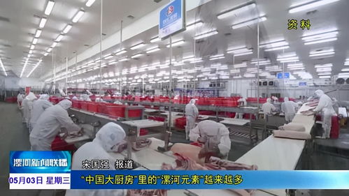 从快餐到奢侈 国际货物运输如何让垃圾食品变身高档奢侈品